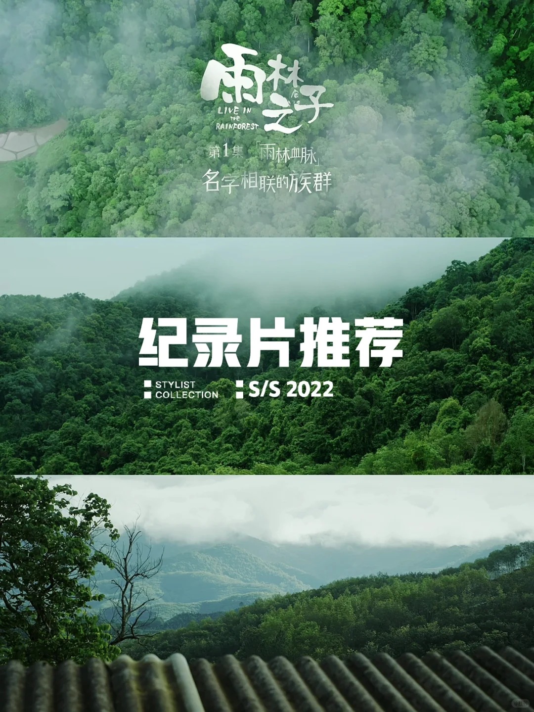 纪录片《雨林之子》云的彼端，国之南境。_1_闪闪发光赵美好_西双版纳-森林-来自52tours 我爱旅游网